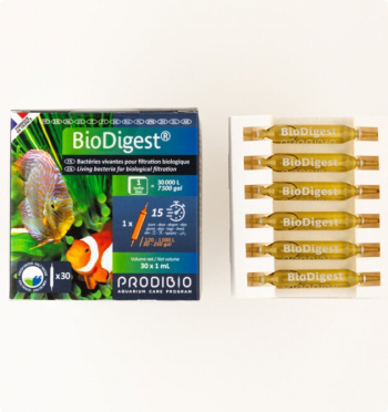 Бактерії Prodibio BioDigest - 30 амп.