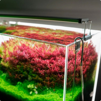 Светильник Chihiros B-Series B60 LED 60-80 см