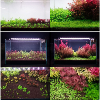 Грунт Aquario Neo Soil Plant No CO2 RICH без потребности в CO₂ - 8л.