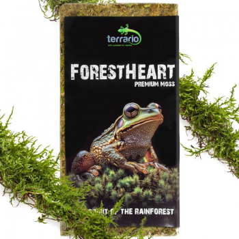 Натуральный мох торфяной Terrario ForestHeart Sphagnum Moss 100г для террариумов и орхидей