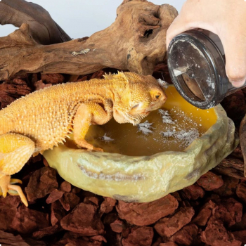 Витаминизатор, шейкер Repti-Zoo Vita-Calcium для обработки кормовых насекомых кальцием и витаминами