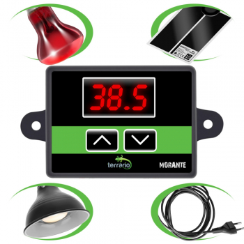 Термостат для тераріуму Terrario Morante