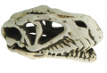 Грот керамический Aqua Nova череп динозавра 14x7x7см