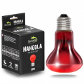 Инфракрасная нагревательная лампа Terrario Nangola Red Night Light - 50W